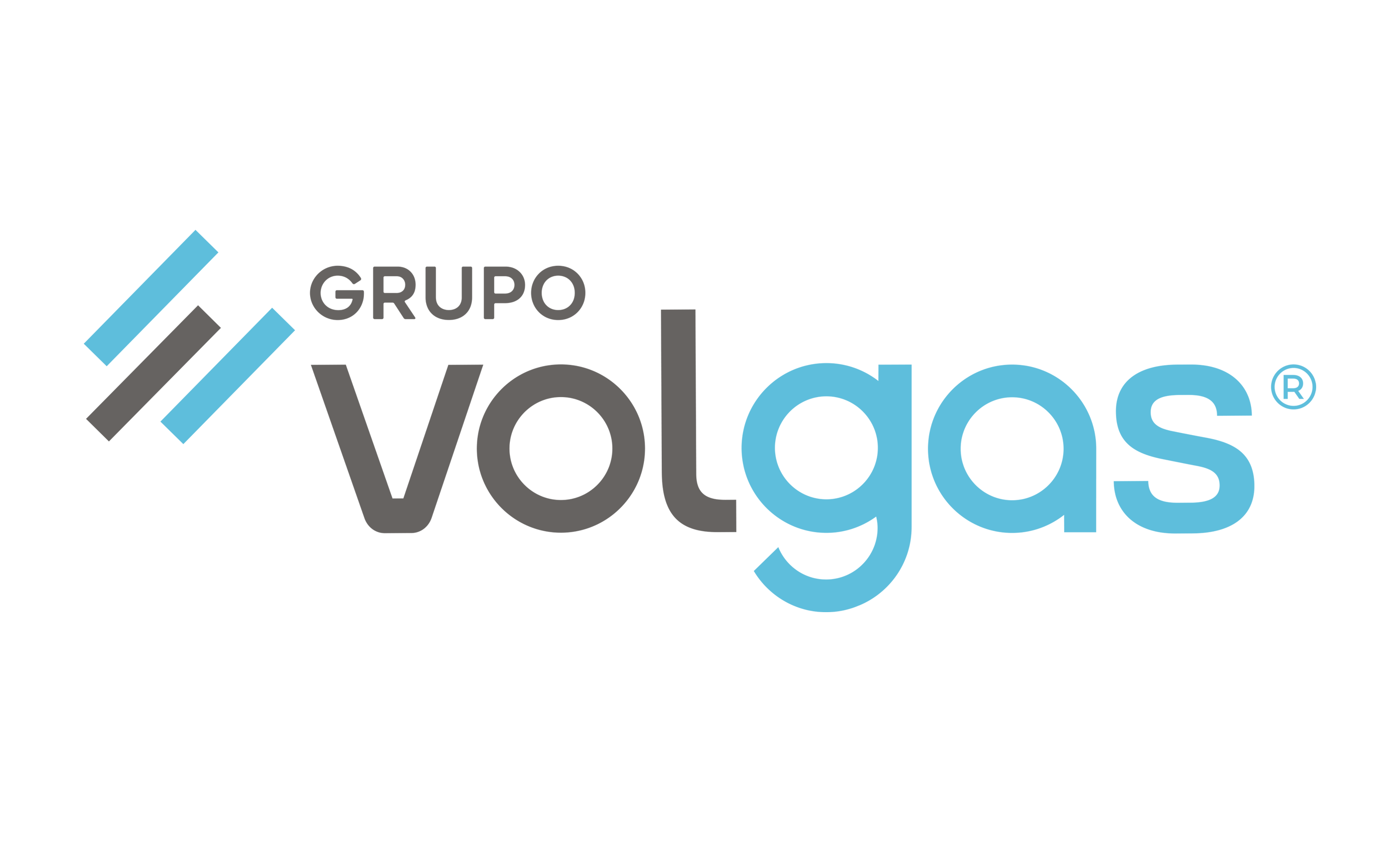 logo volgas